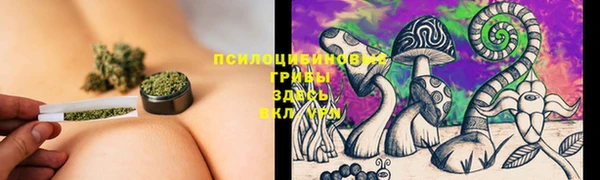 гидра Бородино