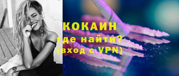 гидра Бородино