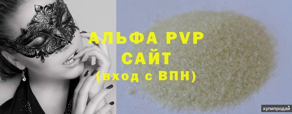 гидра Бородино