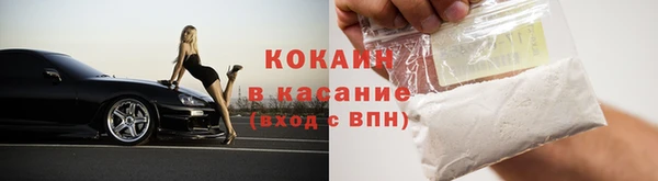 гидра Бородино