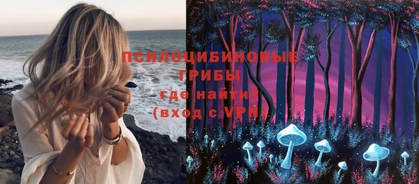 гидра Бородино