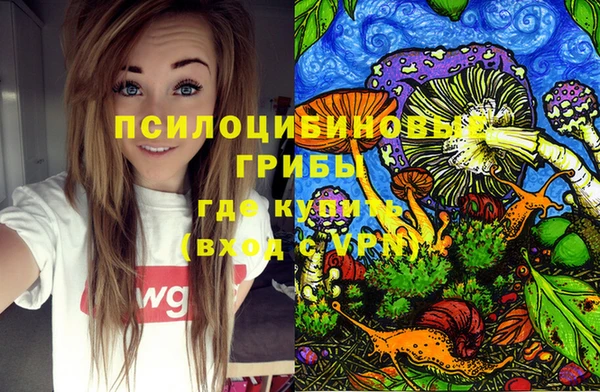 гидра Бородино