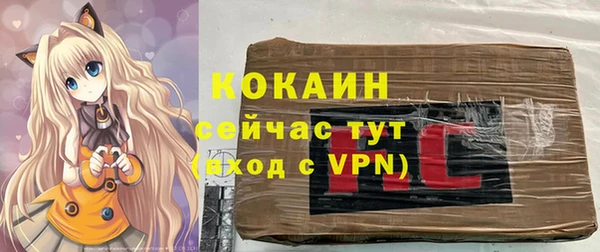 шишки Бугульма