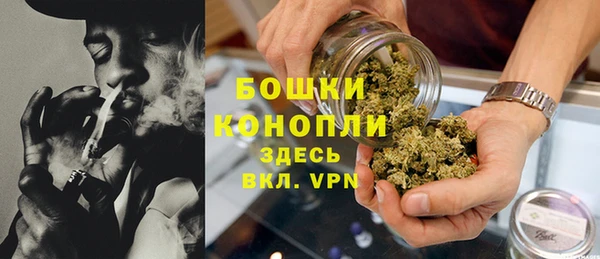 шишки Бугульма