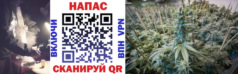 Конопля марихуана  Оренбург 